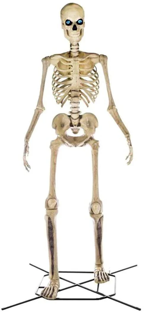 2025 Home Accents 12 ft. Giant-Sized Skeleton with LifeEyes NO250058 - Image 3