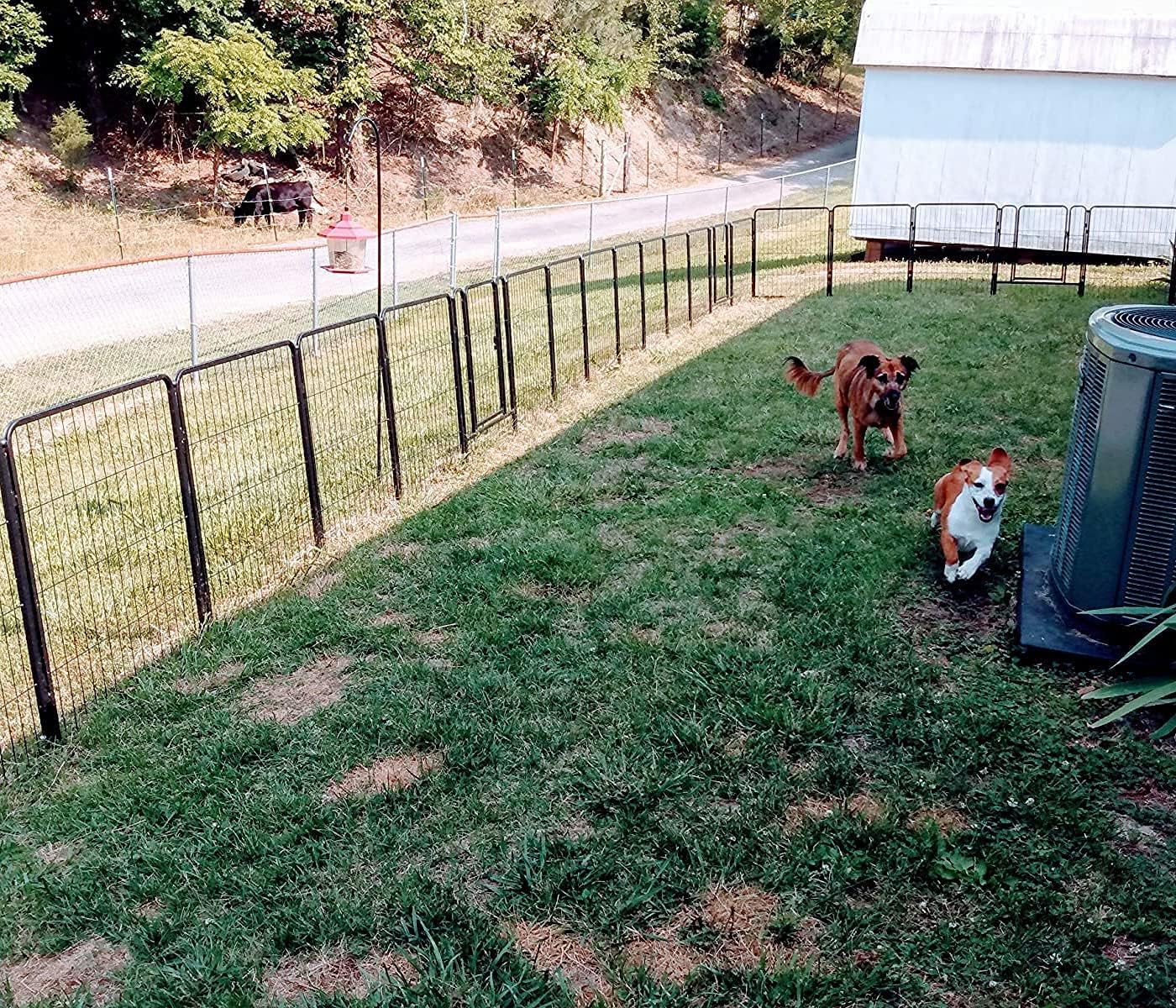 FXW Dog Pen Playpen, 8/32 Panels Pet Fence Playpen Gate Cage Kennel Indoor Outdoor Yard RV Camping for Puppies Small/Medium/Large Dogs, 32 Height - Image 12